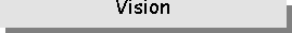 Zone de Texte: Vision